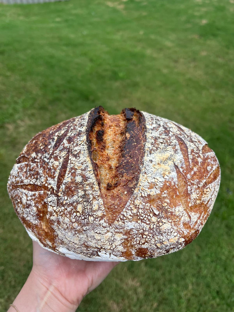Holy Multigrain